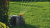 obraz_2021-02-07_182422.png