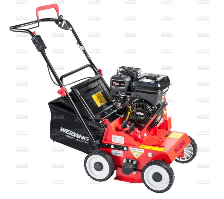 wb384rb-02_9293.jpg