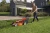 gr-248924.webp