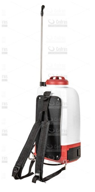 Clipboard139.jpg